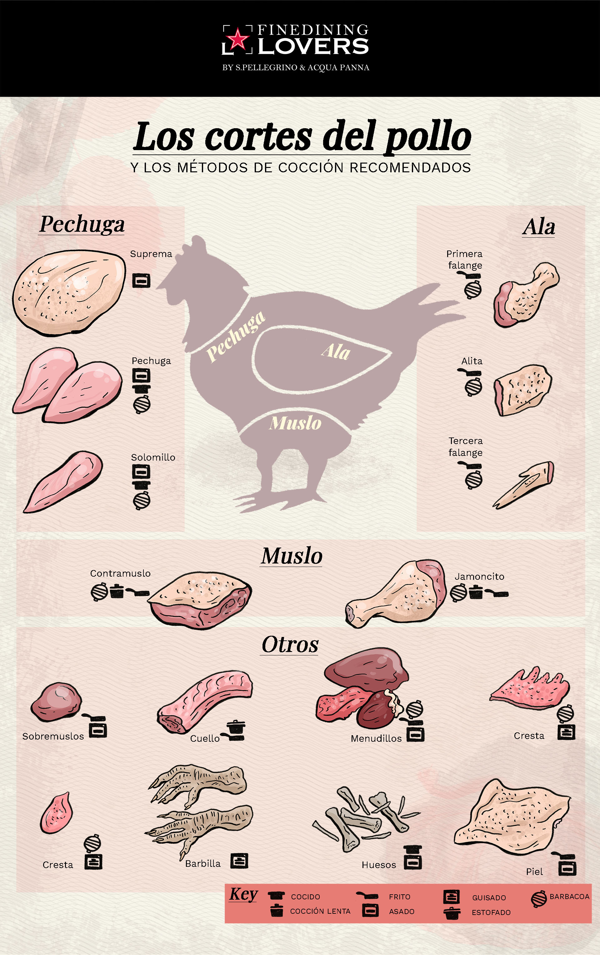 Introducir 36+ imagen nombres de cortes de pollo - Giaoduchtn.edu.vn